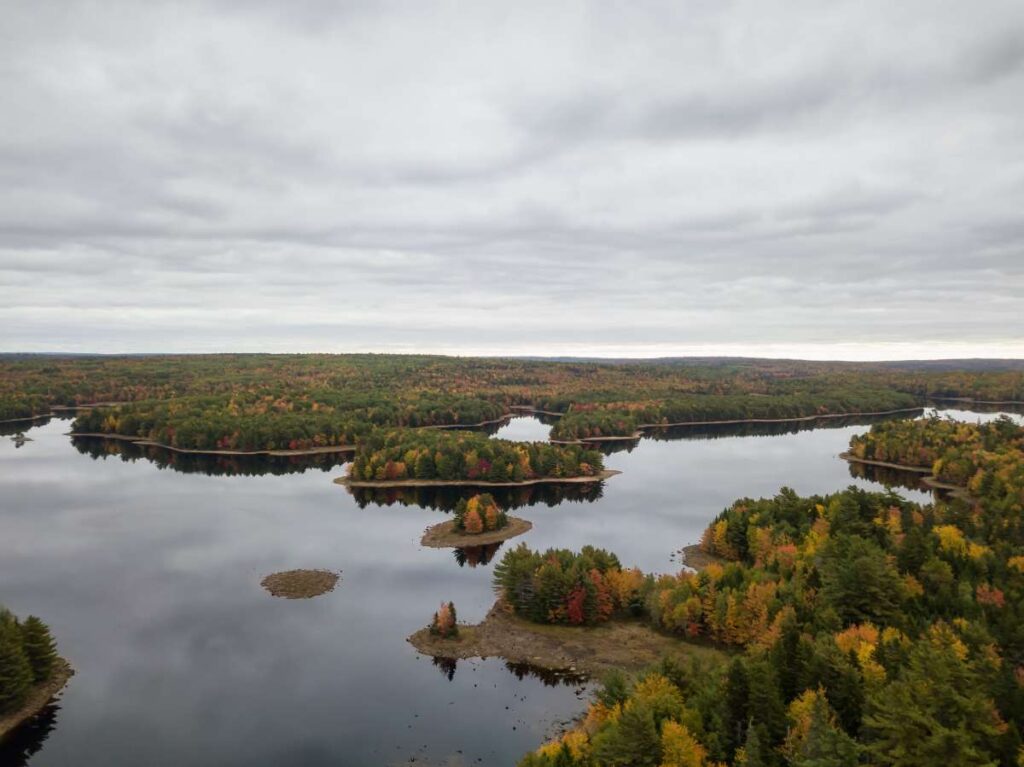 aerial view of a lake